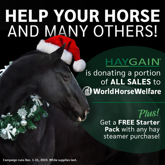 Haygain sales to support World Horse Welfare